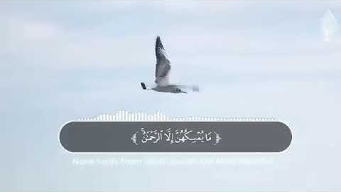 سورة الملڪ من روائع #اسلام صبحي  💛  Islam Sobhi Surah Al Mulk