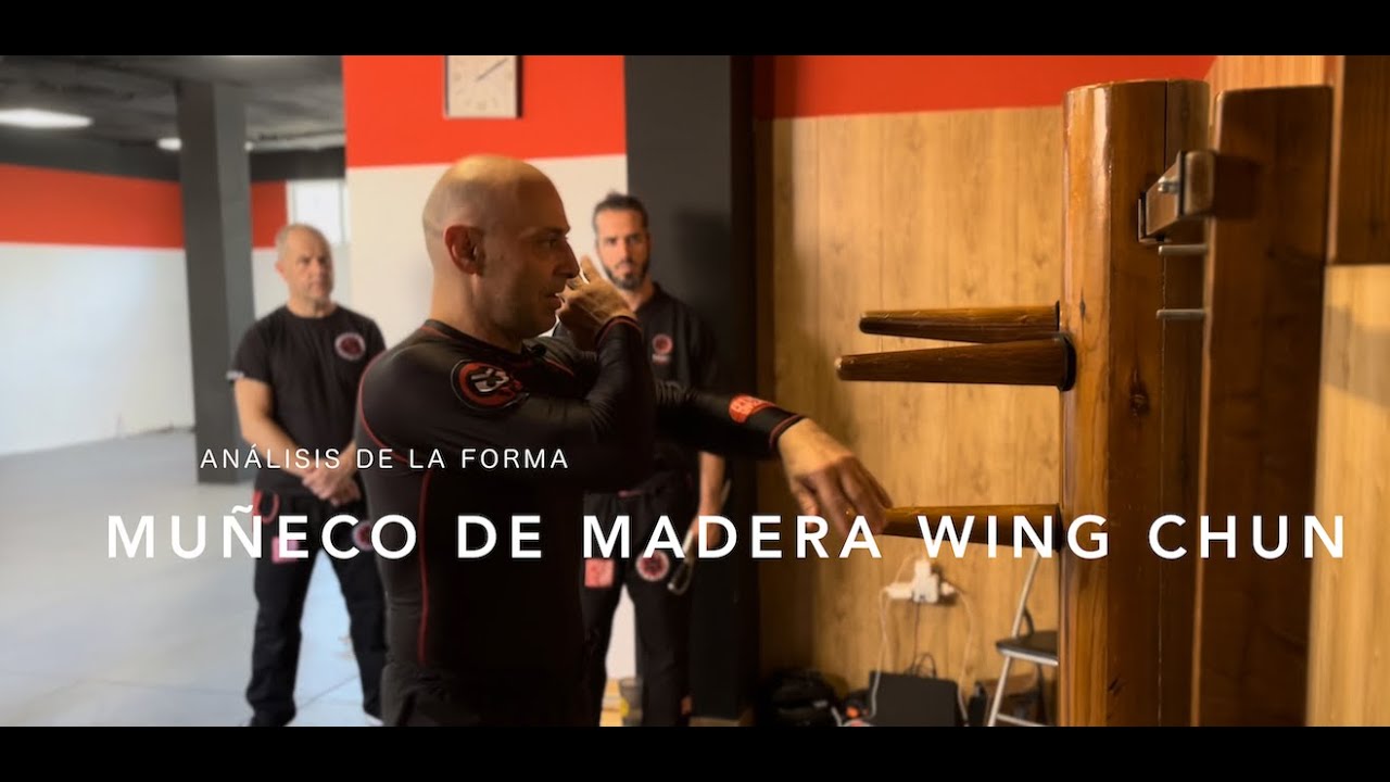 Curso Análisis Muñeco de Madera WingChun
