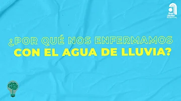 ¿Por qué no debemos bañarnos con la primera lluvia?