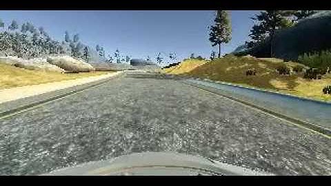 An Artificial Neural Network drives a simulated car around a track