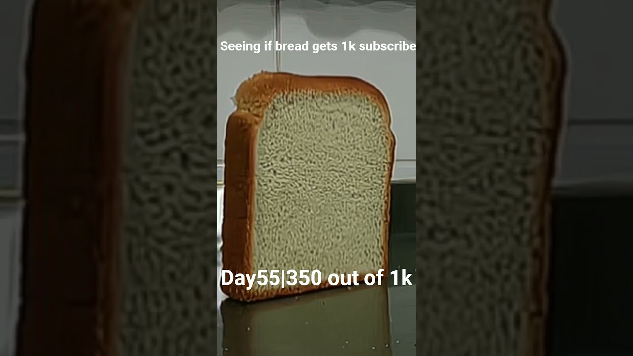 Bread Challenge Will We Reach 1K Subscribers Shorts YouTubeGrowth 1KSubscriber