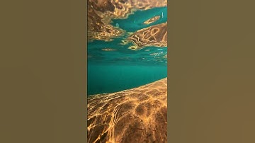 Beautiful waves in the alpine lakes of New Zealand 🇳🇿 #nature