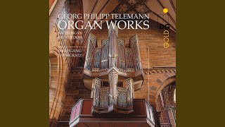 Sonata for Organ in D Major, TWV 33:A5: III. Andante