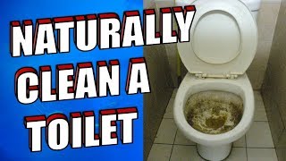 How To Clean a Toilet using Baking Soda and Vinegar screenshot 5