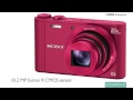 Sony Cyber-shot DSC-WX300 18.2 MP Digital Camera