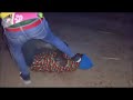 Mzee Likoma Na Kibozi Kp Zebu Tazama Mzee Likoma Na Kibozi Kp Zebu Tazama