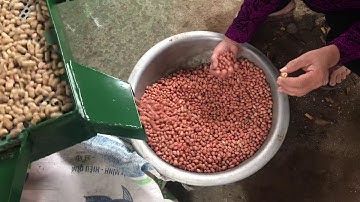 Máy bóc vỏ lạc liên hoàn giống phân loại lạc to nhỏ các loại để bán chợ 0354715098