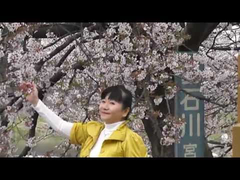 Ogawara Town Japan with Cherry Blossom MPEG 720 Thursday 18 April 2013 ...