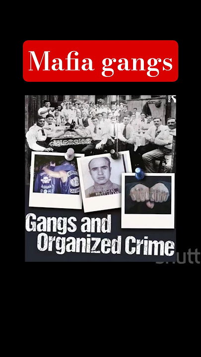 top ten mafia gangs #strongest #oldest #powerful #mafiastory #mafia #story #ruthless #gangsters #op