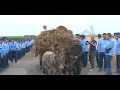 Prostia Omeneasca -  Cele mai Tari Imagini din Romania! || Faze Comice & Penibile
