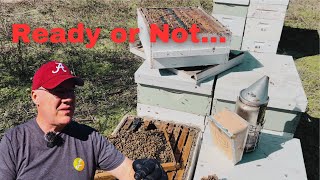 Beekeeping Season is HERE!!! by brucesbees 12,452 views 3 months ago 18 minutes