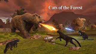 Cats of the Forest Android Gameplay HD #1 screenshot 5