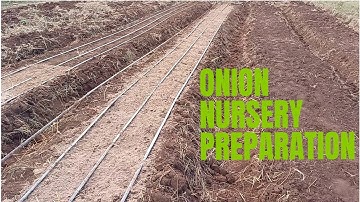 Onion Farming || Detailed Nusery Bed Preparation.