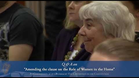 Q & A with Prof Gerry Whyte and Prof Siobhan Mullally - Convention on the Constitution 16 02 13