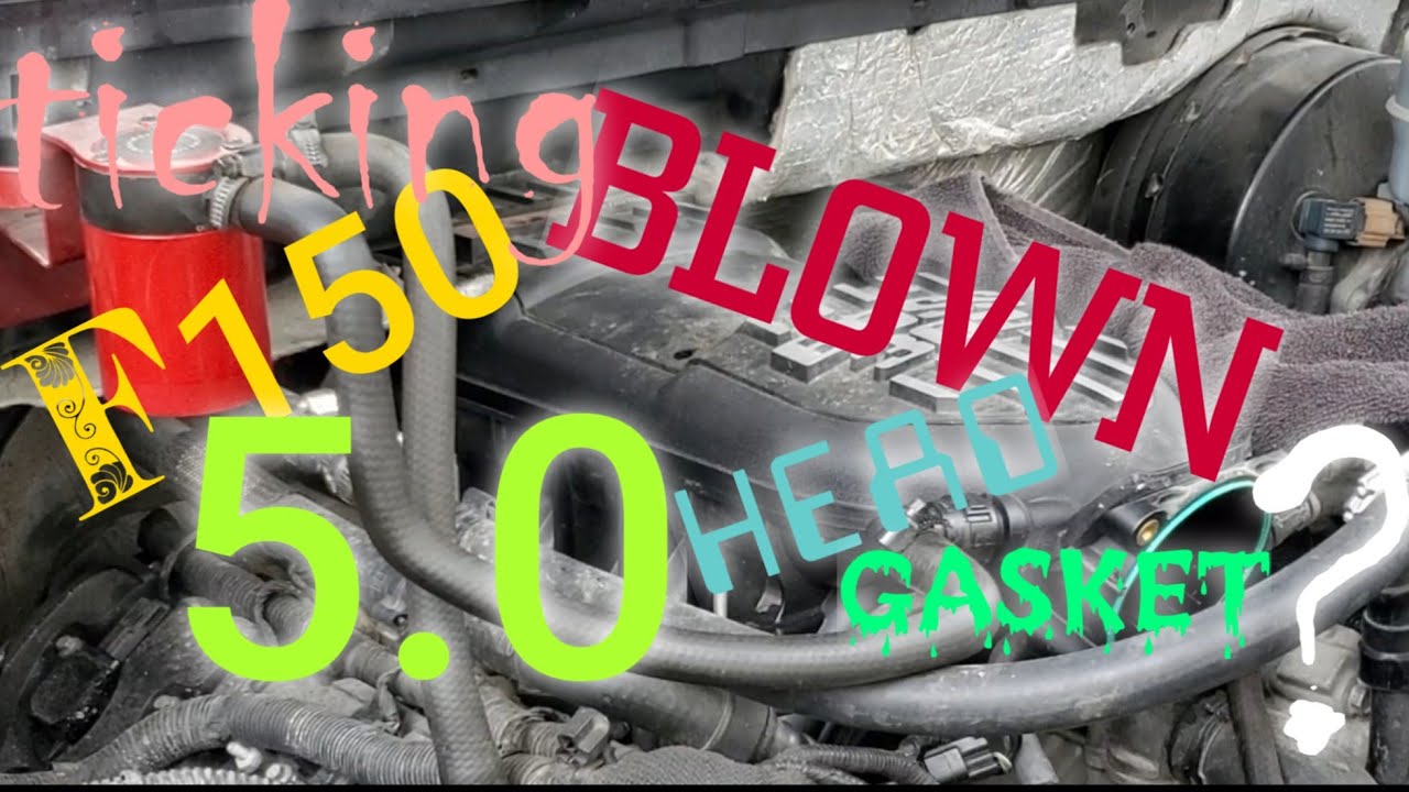 5.0 ticking noise. Blown head gasket? 1114 f150 ( PART 1 ) YouTube