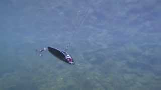 Download Lagu BITE BOOSTER Trolling Plus MP3