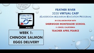 Virtual Feather River CAEP 2020 - Week1: Chinook Salmon Egg Delivery (Kindergarten - 3rdGrade)
