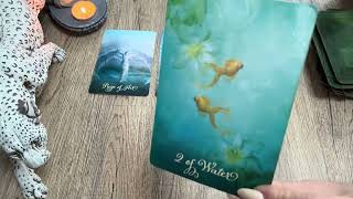 Byk - czytanie urodzinowe 🎂