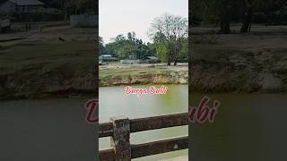 Lakhipur Manashpara/ Durga Dubi 2023 lakhipurnature naturelbeauty  youtubershorts shorts