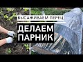 ДЕЛАЕМ ПАРНИК / Высадка перца / Обзор нашего огорода / Продали перепелок / Загородная жизнь на юге