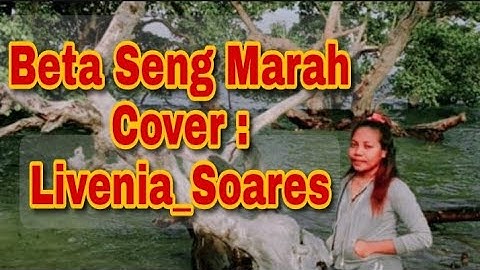 Beta seng marah - Mitha talahatu | #Livenia_Soares (Cover)