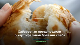 Хабаровчан предупредили о картофельной болезни хлеба