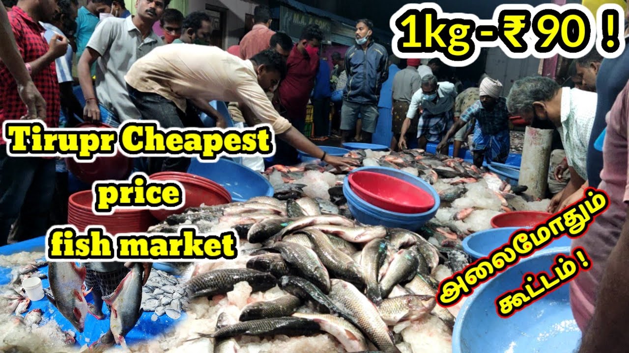 திருப்பூர் மீன் மார்கெட் 1kg 90₹ முதல் மீன்.. Tirupur Fish Market