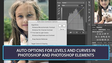 Auto Options For Levels and Curves in Photoshop and Photoshop Elements