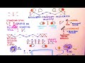 TWIN PARADOX is time dilation direction dependent TIME PART 7