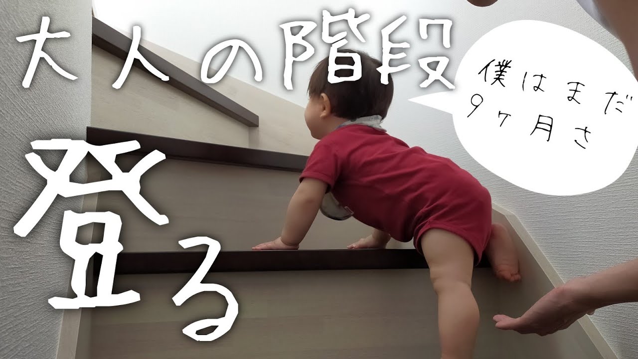 Eng パパ在宅勤務 生後9か月の赤ちゃんとママとパパの一日 A Day Of 9 Month Old Baby Youtube