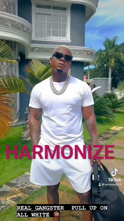 Harmonize Muonekana Mpya #harmonize #kondegang #singleagain #kondemusic #ruger #ru #afrobeat
