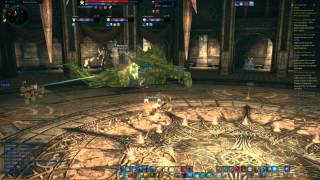 Tera: Mystic POV BAM fight Dark Cathedral