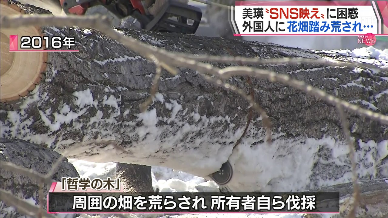 【HTBニュース】”花畑が・・・”マナーを守らぬ外国人に困惑