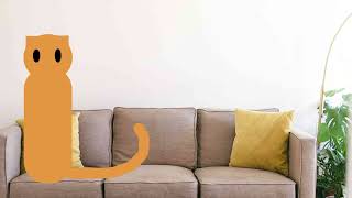 cat rigging