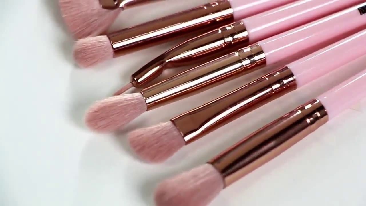 Best Makeup Brush Set Manage Pro Affordable makeup brushes 12pcs set