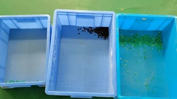 Angelon double belt PET color sorter to separate transparent brown and green PET/jasmine@ajlong.cn