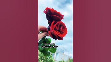 قل الحمد لله // من أكثر الآيات مليئة بالخشوع والطمأنينة // القارئ معاذ عيد