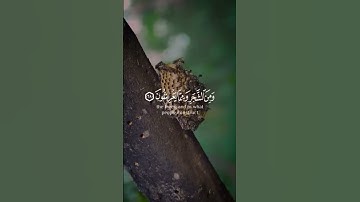 وَأَوْحَىٰ رَبُّكَ إِلَى النَّحْل|الشيخ رعد الكردي سورة النحل
