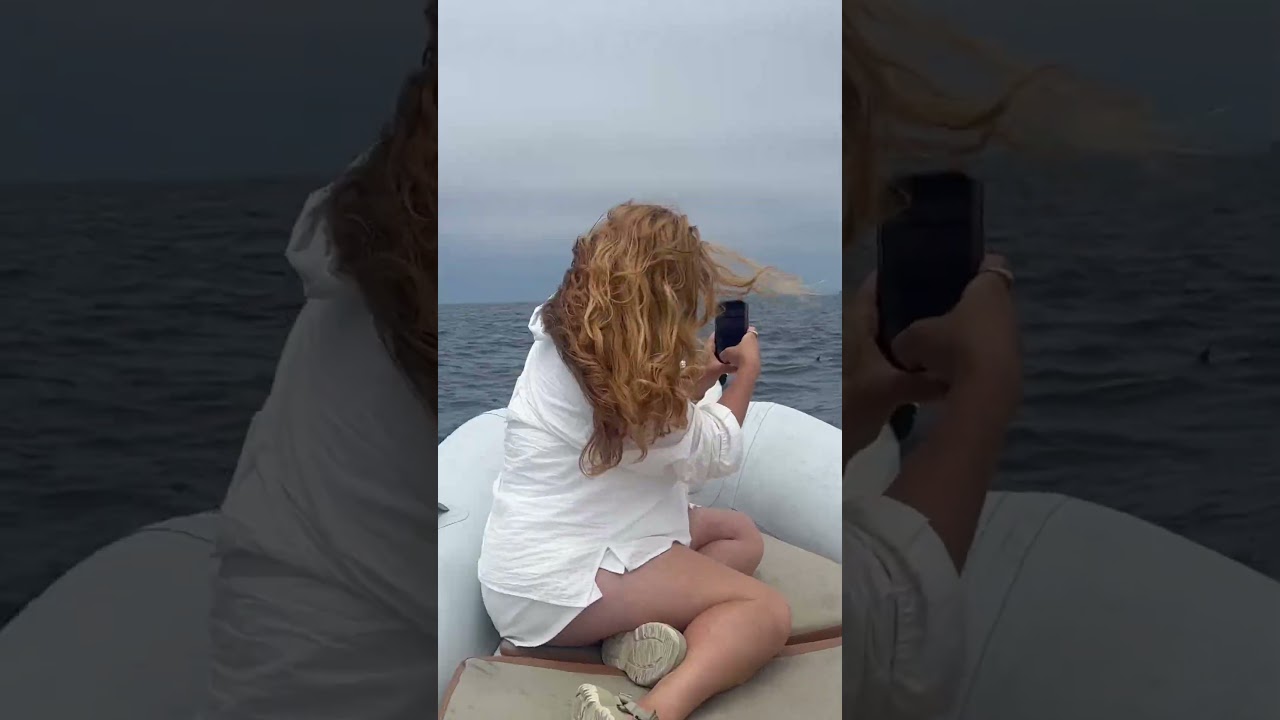 Ocean WILD DOLPHINS GET AIR 