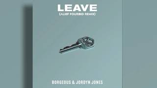 Borgeous & Jordyn Jones - LEAVE (Mndstmy Remix)