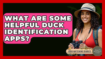 What Are Some Helpful Duck Identification Apps? - Bird Watching Diaries