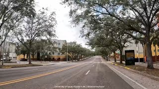 University of South Florida (USF) Campus Tour in 4K