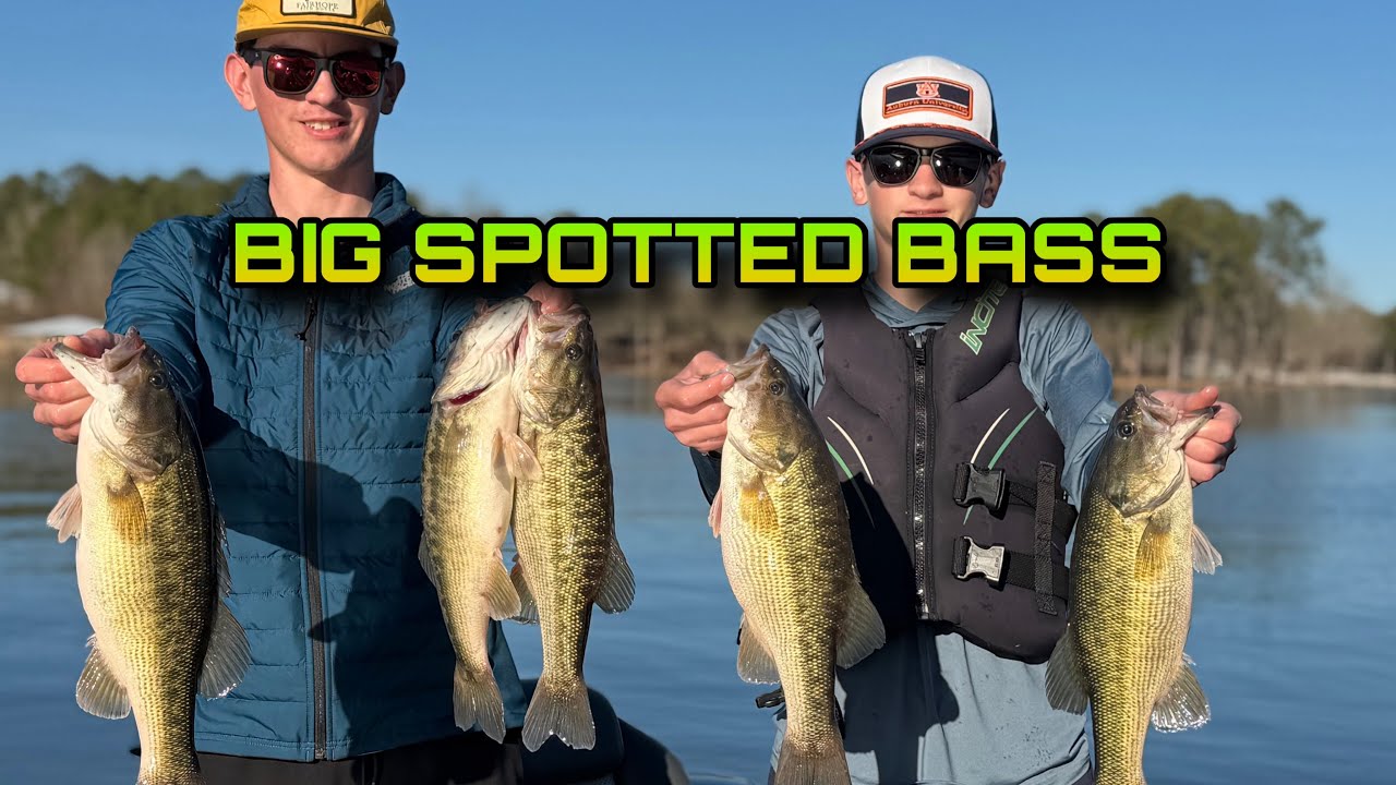 Catching Bass on a Brand New Lake! (Lay Lake) #faith #fishing 