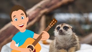 Happy Birthday, Meerkats!