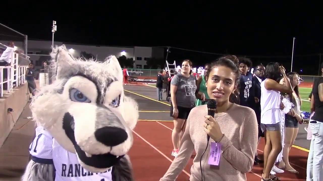 Wolfie Youtuber
