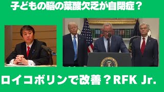 子どもの脳の葉酸欠乏が自閉症を引き起こす可能性。