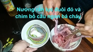 Lần đầu Nướng ăn rắn lục đuôi đỏ và chim bồ câu ngon nhứt nách