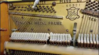 Hear Piano Note F2 Beautiful Harmonics