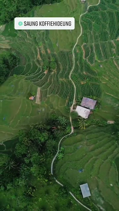 wisata puncak gunung sempur di kaki gunung sanggabuana karawang selatan jawabarat