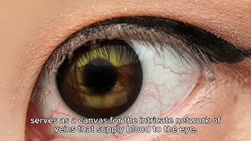 The Hidden World of Biometric Identity Tracking